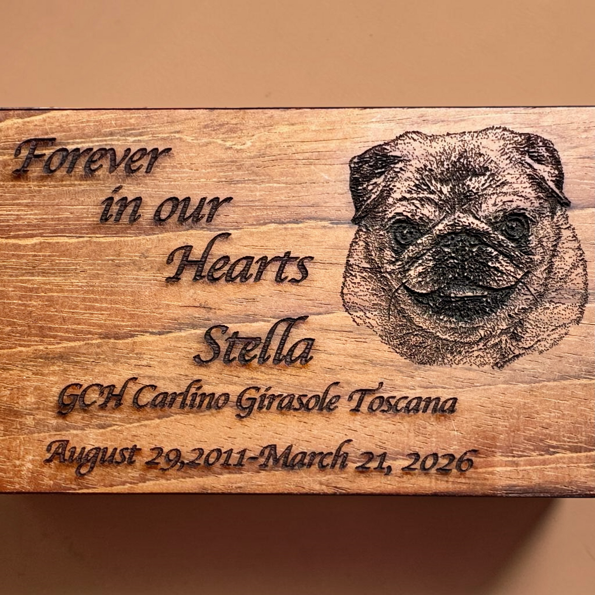 Pet Urn